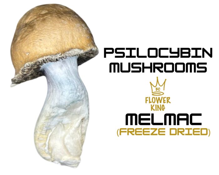 PSILOCYBIN MUSHROOMS <br> MELMAC (FREEZE DRIED) - Image 1