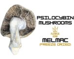 PSILOCYBIN MUSHROOMS <br> MELMAC (FREEZE DRIED) - Image 2