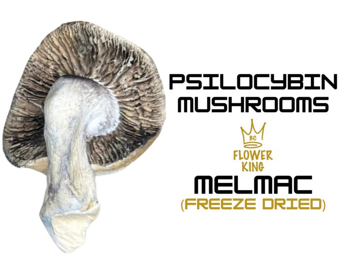 PSILOCYBIN MUSHROOMS <br> MELMAC (FREEZE DRIED) - Image 2