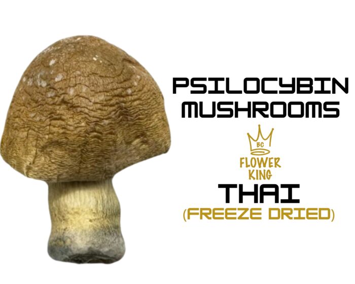 PSILOCYBIN MUSHROOMS <br> THAI (FREEZE DRIED) - Image 1