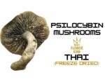 PSILOCYBIN MUSHROOMS <br> THAI (FREEZE DRIED) - Image 2