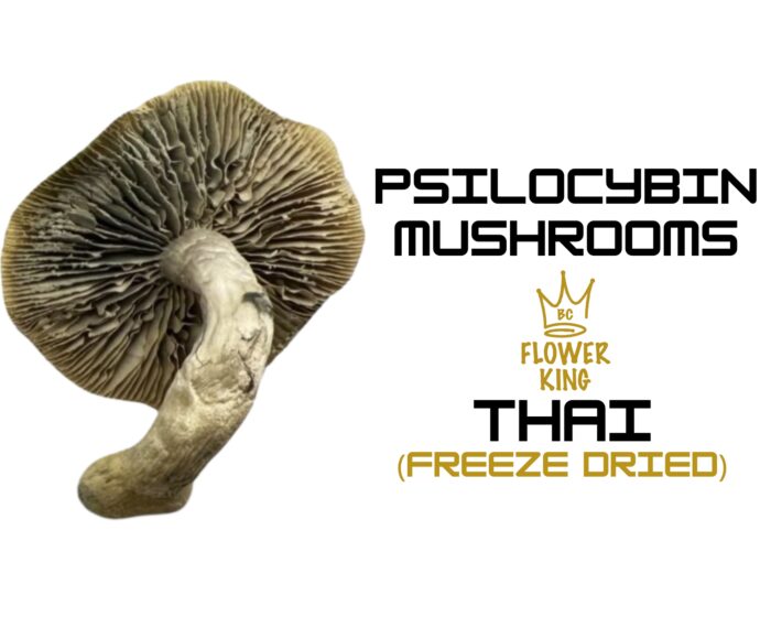 PSILOCYBIN MUSHROOMS <br> THAI (FREEZE DRIED) - Image 2
