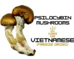 PSILOCYBIN MUSHROOMS <br> VIETNAMESE (FREEZE DRIED) - Image 2