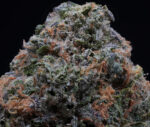 LA Confidential ⛽️ 🙅‍♂️ ⛽️