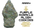 AAAA+ <br> PURPLE MIRACLE ALIEN COOKIES <br> INDICA DOMINANT HYBRID