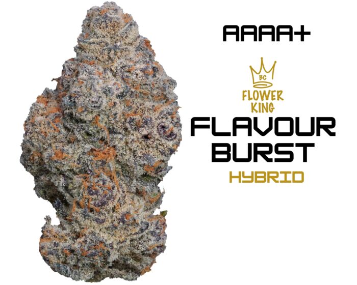 AAAA+ <br> Flavour Burst <br> Hybrid - Image 1