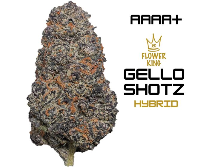 AAAA+ <br> Gello Shotz <br> Hybrid - Image 1