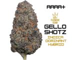 AAAA+ <br> Gello Shotz <br> Hybrid