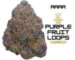 AAAA <br> Purple Fruit Loops 🟣 🥣 <br> Hybrid