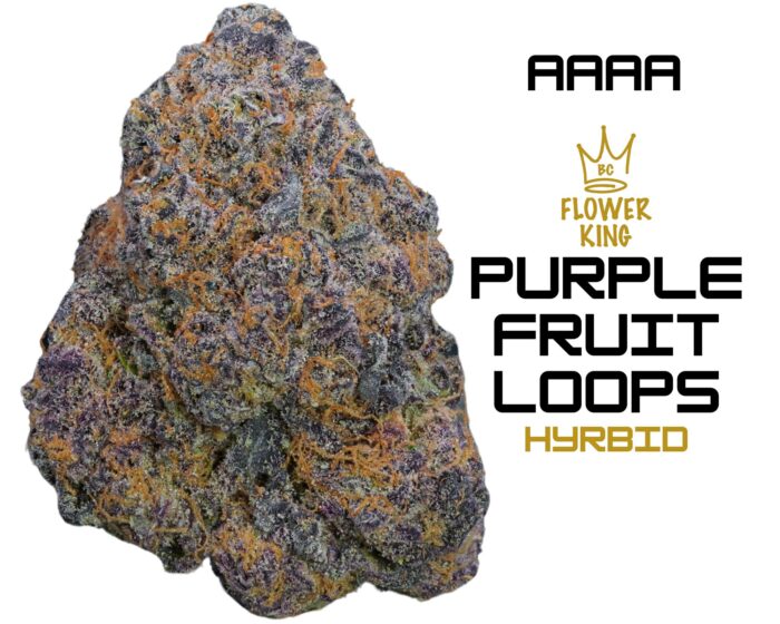 AAAA <br> Purple Fruit Loops 🟣 🥣 <br> Hybrid - Image 1