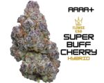 AAAA+ <br> Super Buff Cherry <br> Hybrid