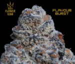 AAAA+ <br> Flavour Burst <br> Hybrid - Image 2