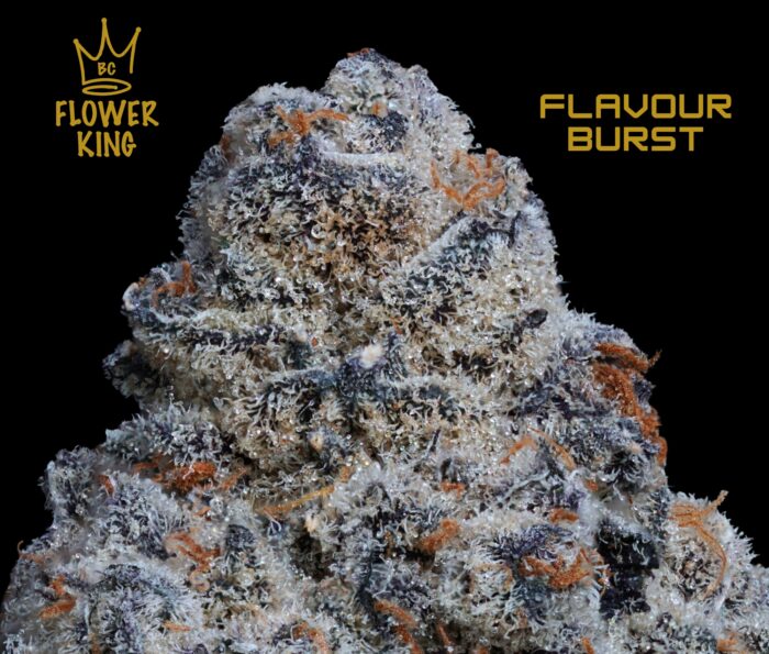AAAA+ <br> Flavour Burst <br> Hybrid - Image 2