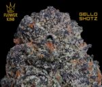 AAAA+ <br> Gello Shotz <br> Hybrid - Image 2