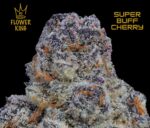 AAAA+ <br> Super Buff Cherry <br> Hybrid - Image 2