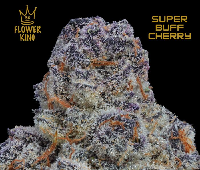 AAAA+ <br> Super Buff Cherry <br> Hybrid - Image 2