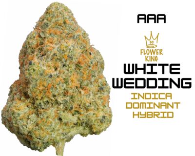 AAA <br> White Wedding <br> Indica Dominant Hybrid