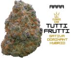 AAAA <br> Tutti Frutti <br> Sativa Dominant Hybrid