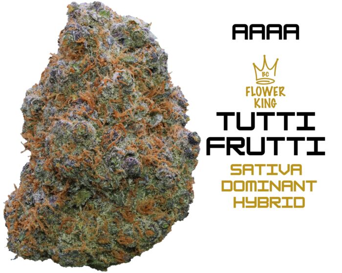 AAAA <br> Tutti Frutti <br> Sativa Dominant Hybrid - Image 1