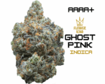 AAAA+ <br> GHOST PINK <br> INDICA