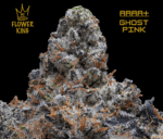 AAAA+ <br> GHOST PINK <br> INDICA - Image 2