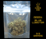 AAAA+ <br> BLUE LOBSTER <br> HYBRID - Image 3