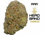 AAA <br> HEADBAND 🤯🩹 <br> HYBRID