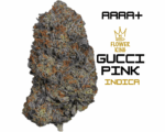AAAA+ <br> GUCCI PINK <br> INDICA