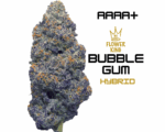 AAAA+ <br> BUBBLE GUM 🫧🍭😮‍💨 <br> HYBRID