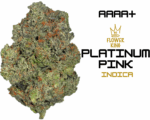 AAAA+ <br> PLATINUM PINK <br> INDICA