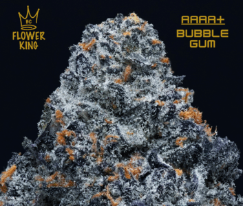 AAAA+ <br> BUBBLE GUM 🫧🍭😮‍💨 <br> HYBRID - Image 2