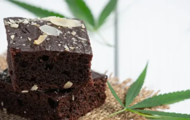 High-quality full melt hash, the gold standard of cannabis concentrates