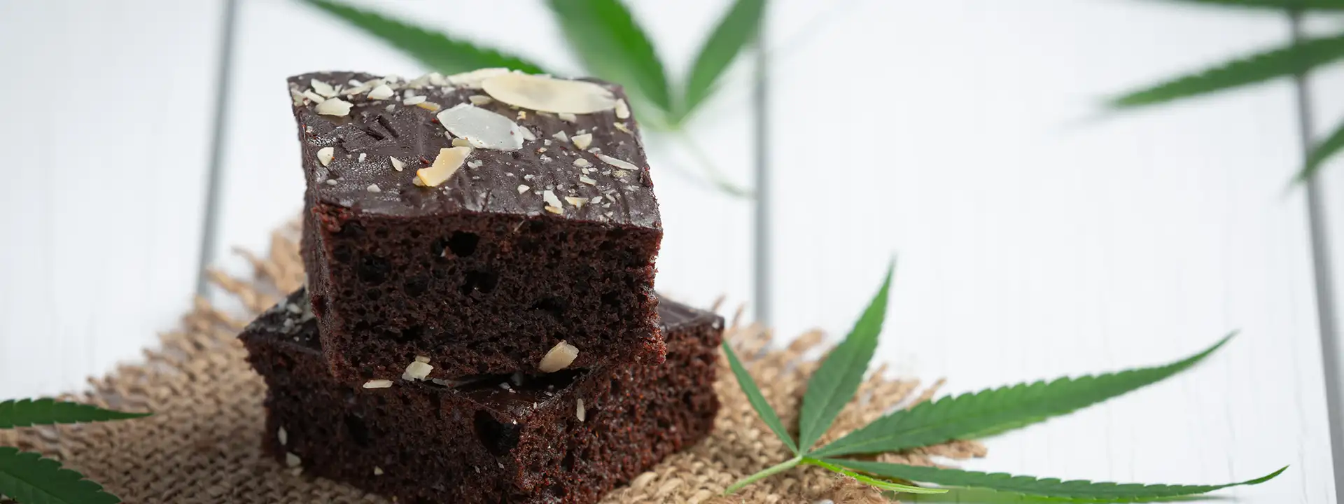 High-quality full melt hash, the gold standard of cannabis concentrates