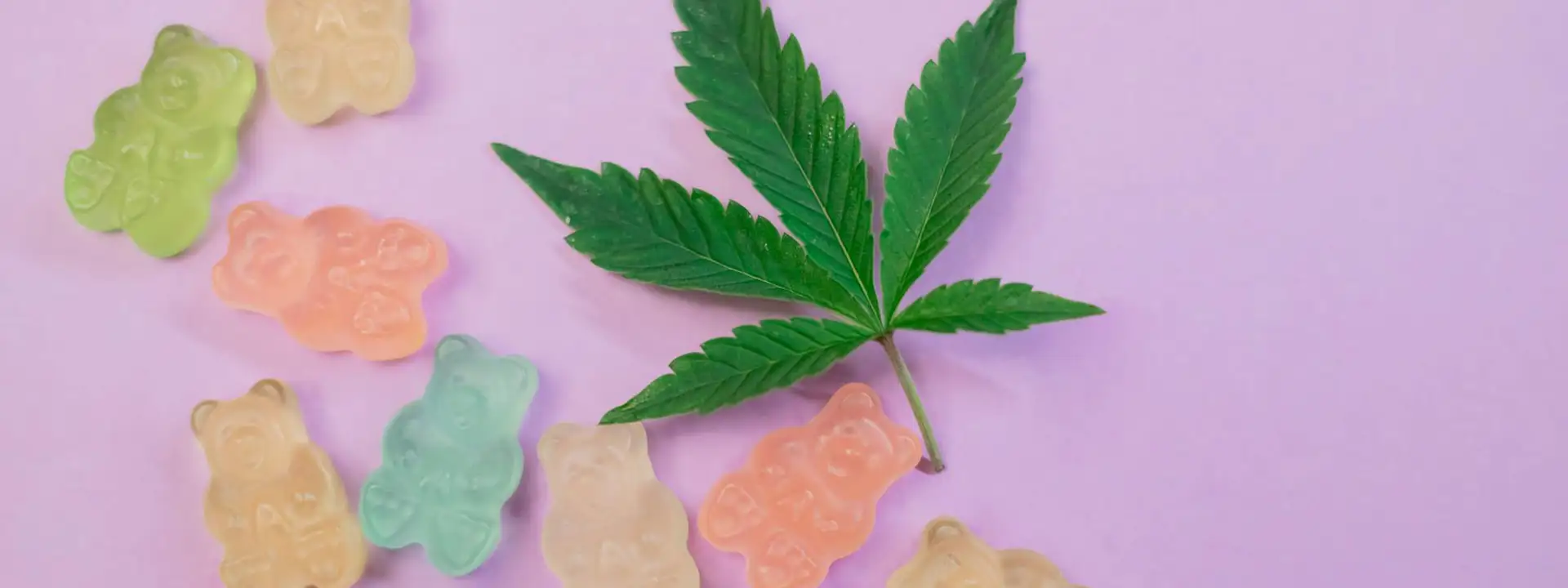 Artisan craft edibles from BC Flower King featuring local cannabis