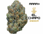 AAAA+ <br> EL CHAPO <br> INDICA