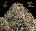 AAAA+ <br> EL CHAPO <br> INDICA - Image 2
