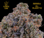 AAAA+ <br> EL MUERTE <br> INDICA - Image 2