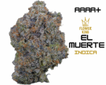 AAAA+ <br> EL MUERTE <br> INDICA
