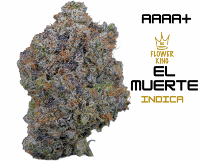 AAAA+ <br> EL MUERTE <br> INDICA