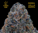 AAAA+ <br> HALLE BERRY <br> HYBRID - Image 2