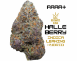 AAAA+ <br> HALLE BERRY <br> HYBRID