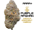 AAAA+ <br> PURPLE AFGHAN <br> INDICA