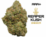 AAA <br> REAPER KUSH <br> INDICA