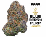 AAAA <br> BLUEBERRY PURP <br> HYBRID