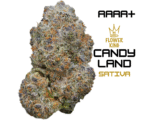 AAAA+ <br> CANDY LAND <br> SATIVA
