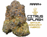 AAAA+ <br> CITRUS SPLASH <br> SATIVA