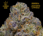 AAAA+ <br> JOKERZ CANDY <br> HYBRID - Image 2
