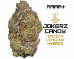 AAAA+ <br> JOKERZ CANDY <br> HYBRID