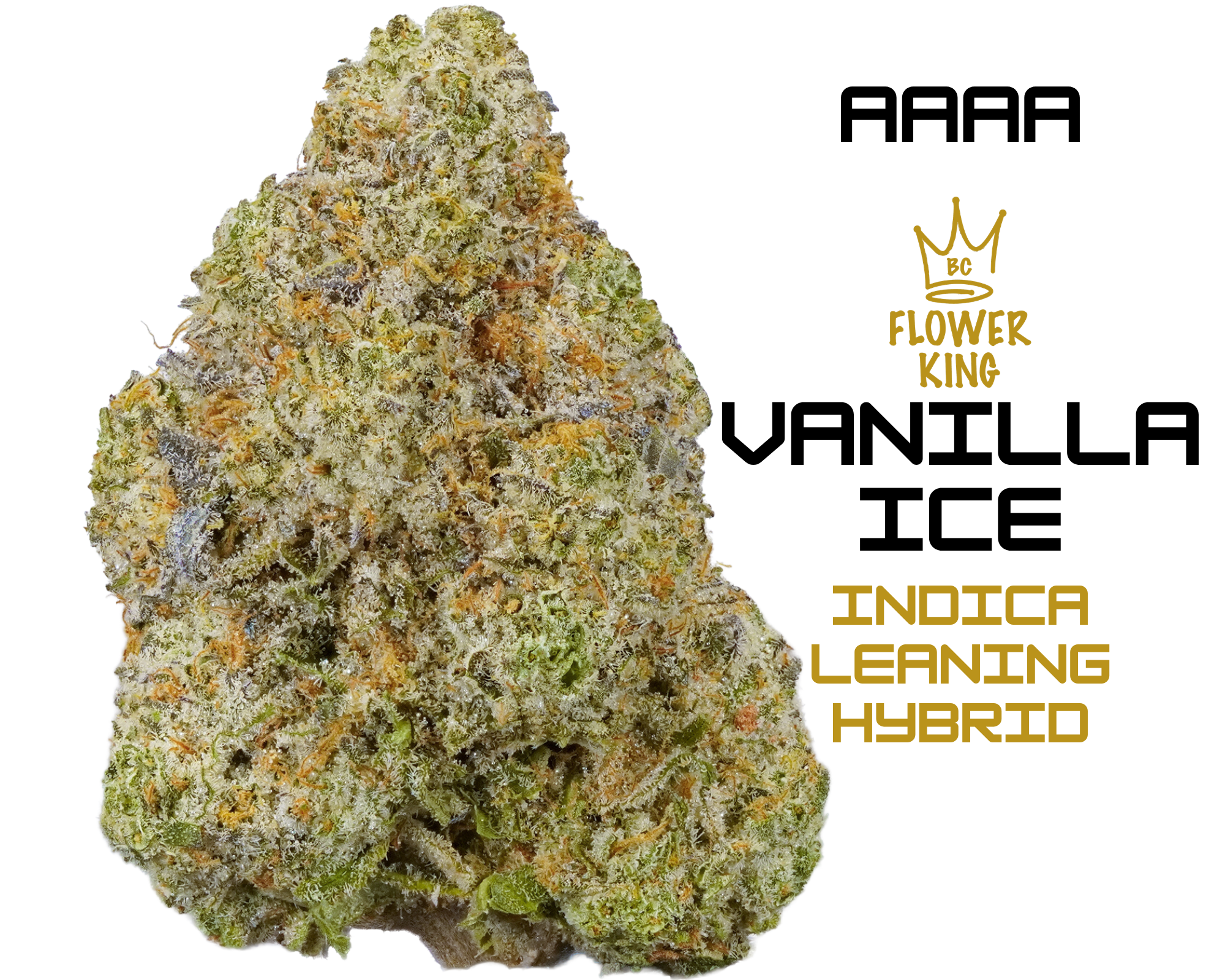 AAAA VANILLA ICE AAAA <br> VANILLA ICE <br> HYBRID - Image 1